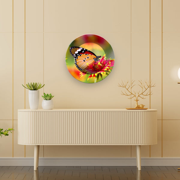 Single Wall Plate