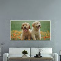 Animal Paintings