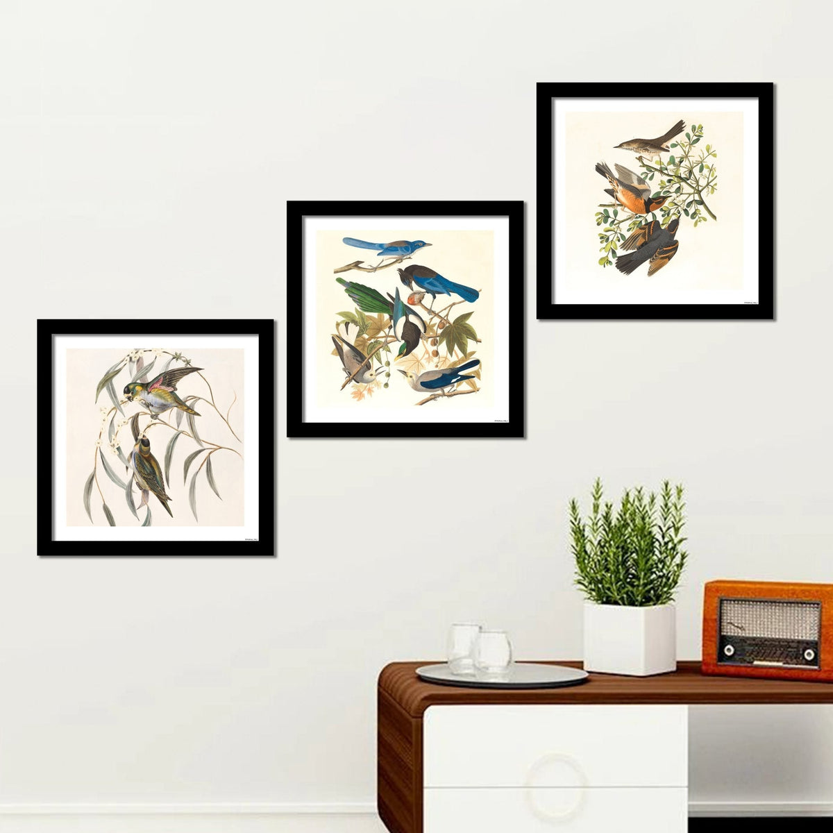 Premium 3 Pieces Wall Frame Painting of Birds on Tree Branch