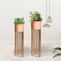 Artisan Arboretum Gold Stand & Ross Gold Pot Planters Set of 2