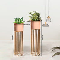 Artisan Arboretum Gold Stand & Ross Gold Pot Planters Set of 2