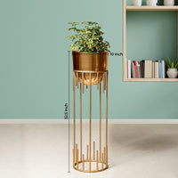 Dripping Luxury Metal Golden Finish - Large Size Planter