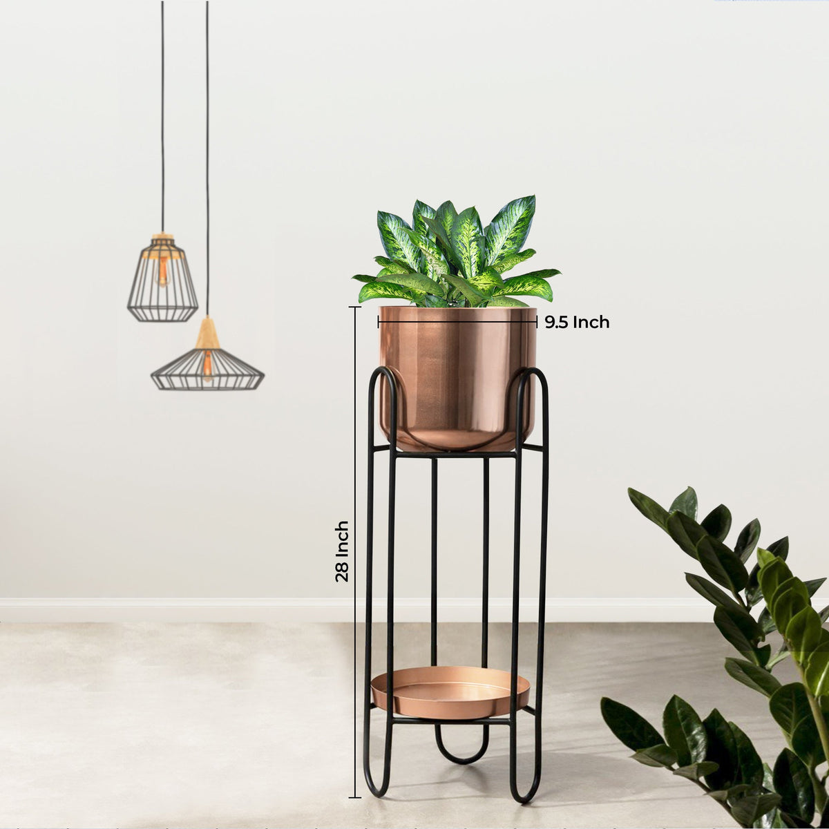 Dual Crown Black Stand & Ross Gold Finish Pot  - Medium Size Planter