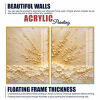 Elegant 3D Floral Radiance Acrylic Floating Wall Painting Set of 2