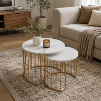 Elegant Coffee Tables Set of 2