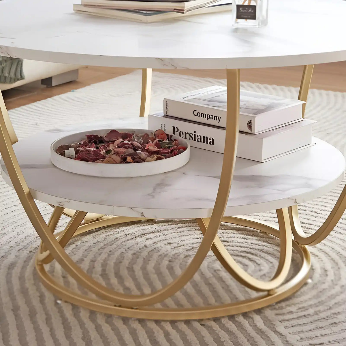 Elegant Design Modern Round Metal Finish Center Table