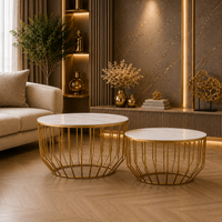 Elegant Marble Top Metal Coffee Table - Set of 2