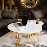 Elegant Nesting Coffee Table with White Marble Top