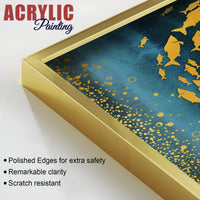 Group of Golden Fishes Acrylic Floating Wall Painting Set of 2