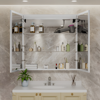 HaloLine Ambient Side Glow LED Mirror with Storage Cabinet