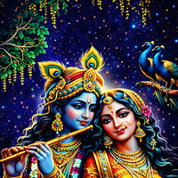 Lord Krishna Shri Radha and Peacocks Floating Frame Crystal Wall Painting Set of 3