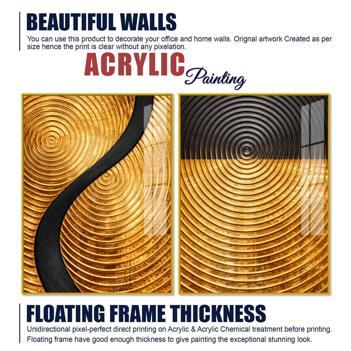 Luxury Gold and Black Concentric Circle Acrylic Floating Wall Painting Set of 2