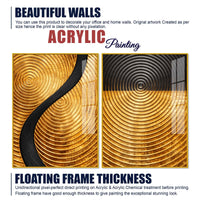 Luxury Gold and Black Concentric Circle Acrylic Floating Wall Painting Set of 2