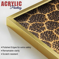Luxury Golden Honeycomb Abstract Pattern Acrylic Floating Wall Painting Set of 2
