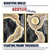 Luxury Marble Stream Abstract Acrylic Floating Wall Painting Set of 2