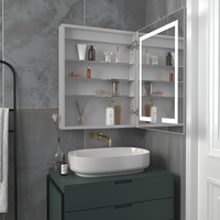 Minimalist Mirror Cabinet with Vertical Light Strips and Storage