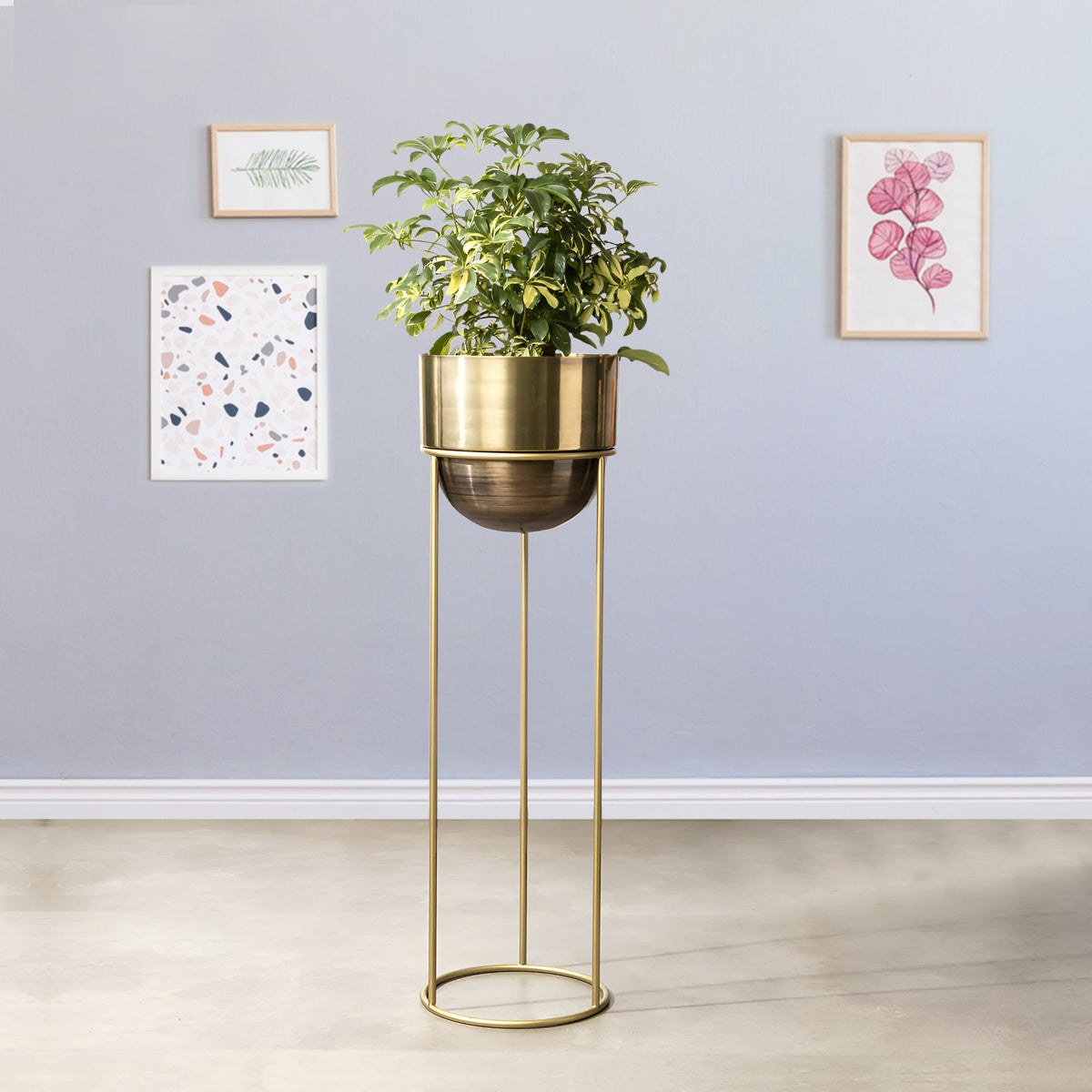 Modish Golden Finish - Large Size Planter