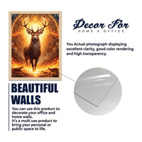 Powerful Wildlife Wall Frame Set of Four