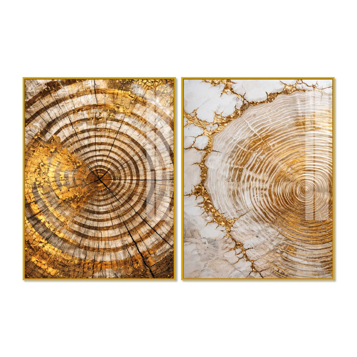 Premium Nature Inspired Tree Ring Acrylic Floating Wall Painting Set of 2