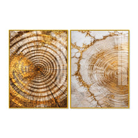 Premium Nature Inspired Tree Ring Acrylic Floating Wall Painting Set of 2