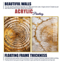 Premium Nature Inspired Tree Ring Acrylic Floating Wall Painting Set of 2