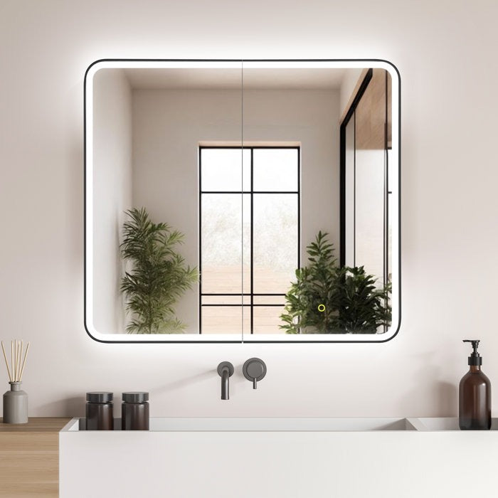 Reindeau LED Medicine Storage Wall Mounted Cabinet Mirror