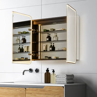 Reindeau LED Medicine Storage Wall Mounted Cabinet Mirror