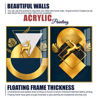 Royal Golden Deer Modern Geometric Acrylic Floating Wall Painting Set of 2
