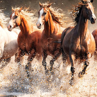 Royal Running Horses Crystal Glass Wall Painting