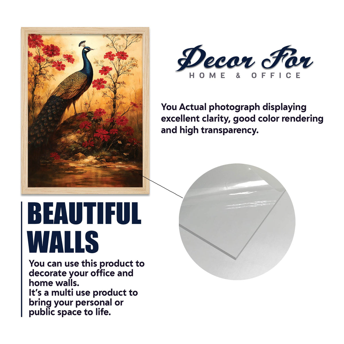 Timeless Nature & Flower Wall Frame Set of Four
