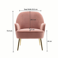 Pink Modern Cushiony Luxury Velvet  Sofa Lounge Chair