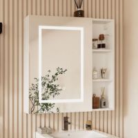 Bathroom Mirror Cabinet