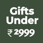 Gifts Under 2999