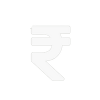 100% Secure Payment